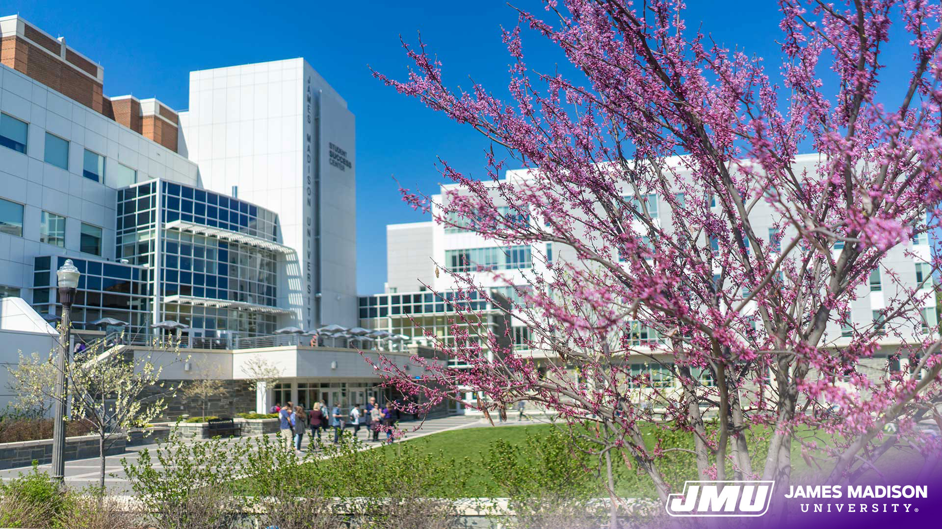 James Madison University Add A Bit Of Jmu To Zoom Meetings