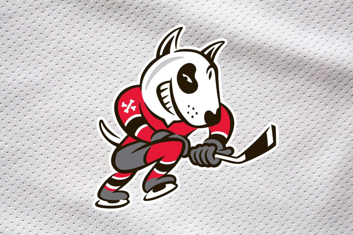 OHL Sanctions Niagara IceDogs Expels Two Players and Suspends GM