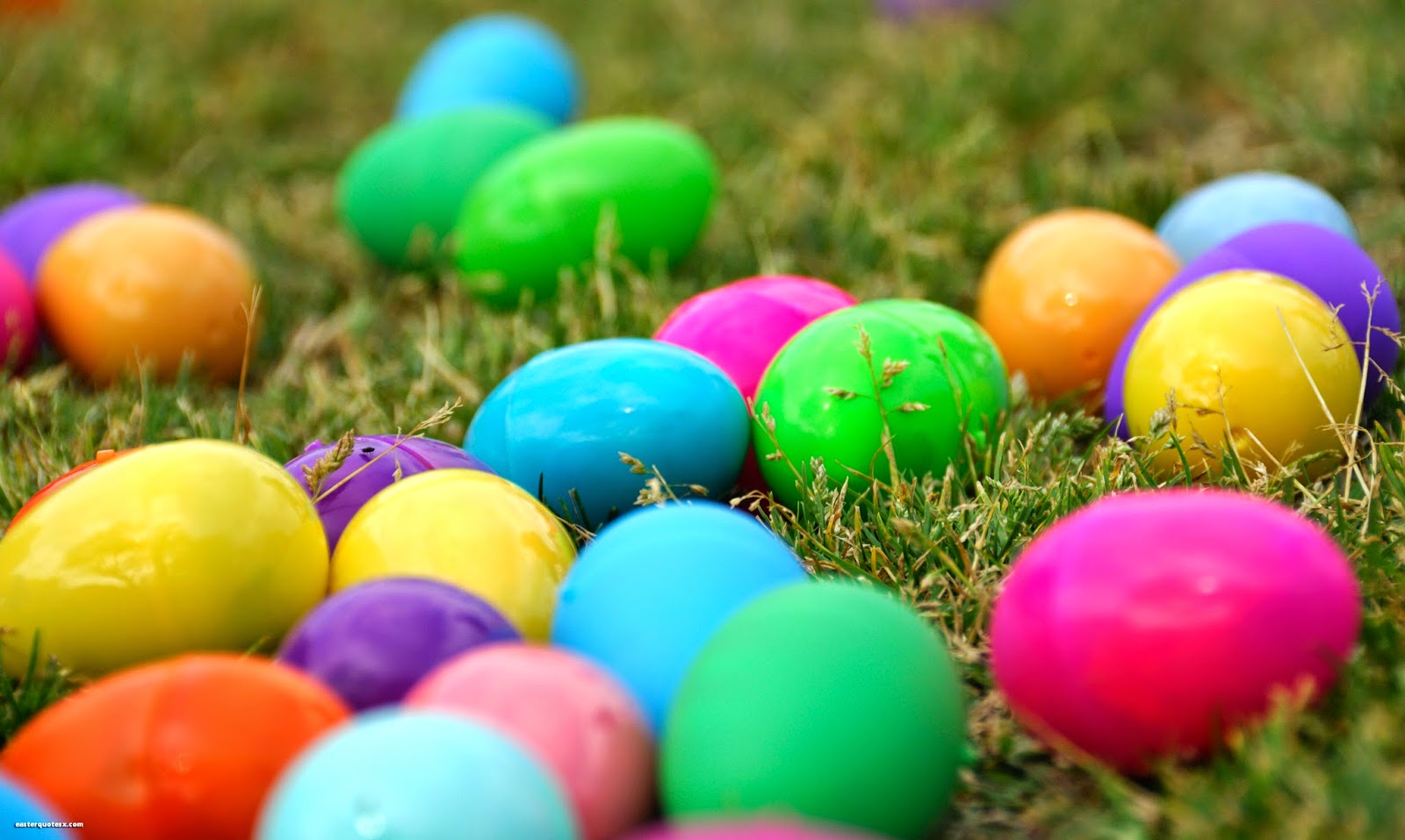 Top Easter Eggs Pictures HD Image