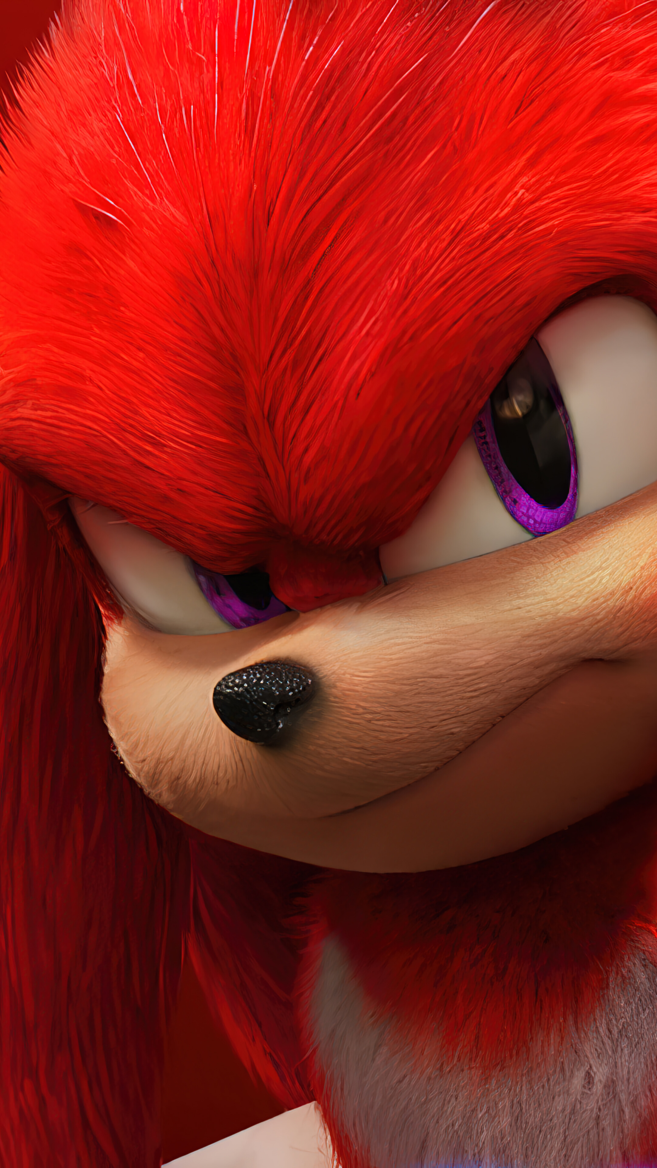 Knuckles Sonic the Hedgehog 2 Poster Wallpaper 4K HD PC 6201f