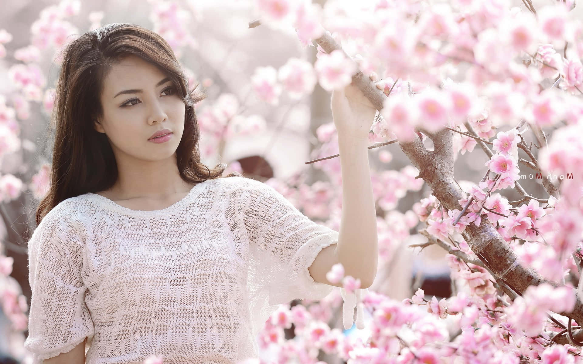 Japanese Women Wallpaper