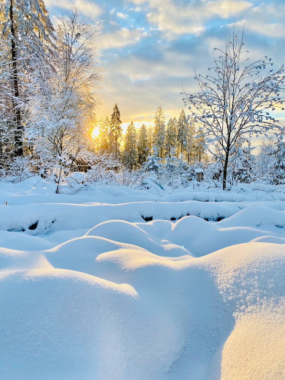Winter Sunrise Wallpaper