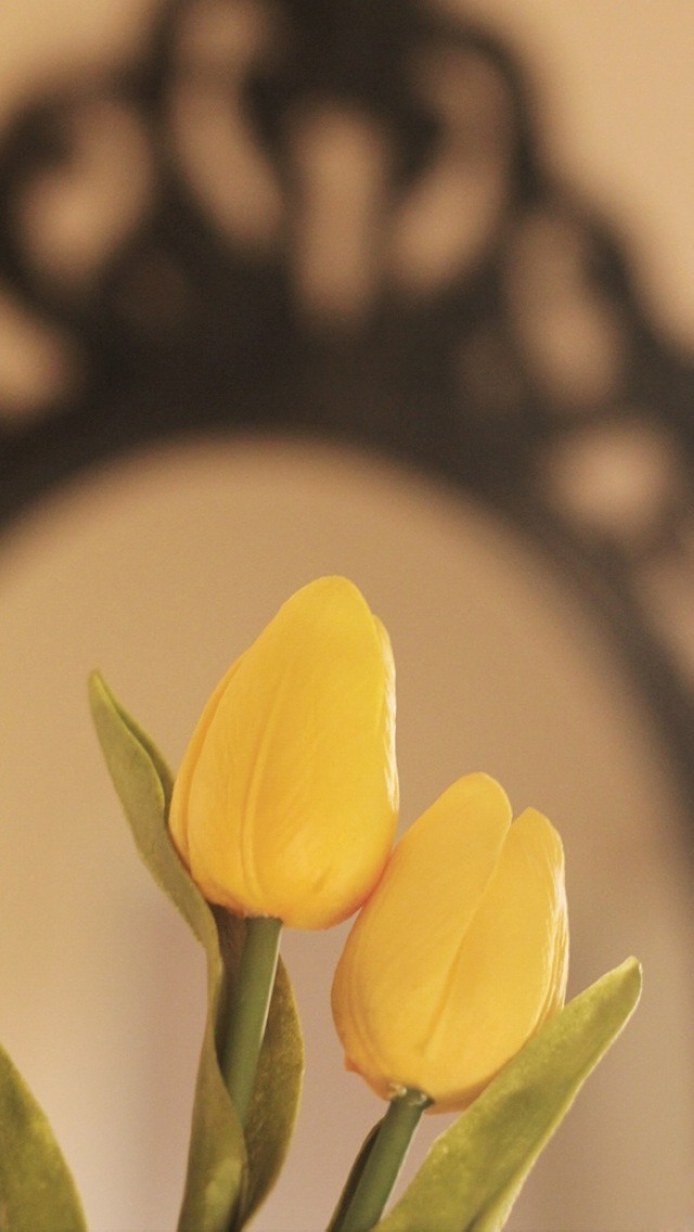 Yellow Tulips Wallpaper iPhone