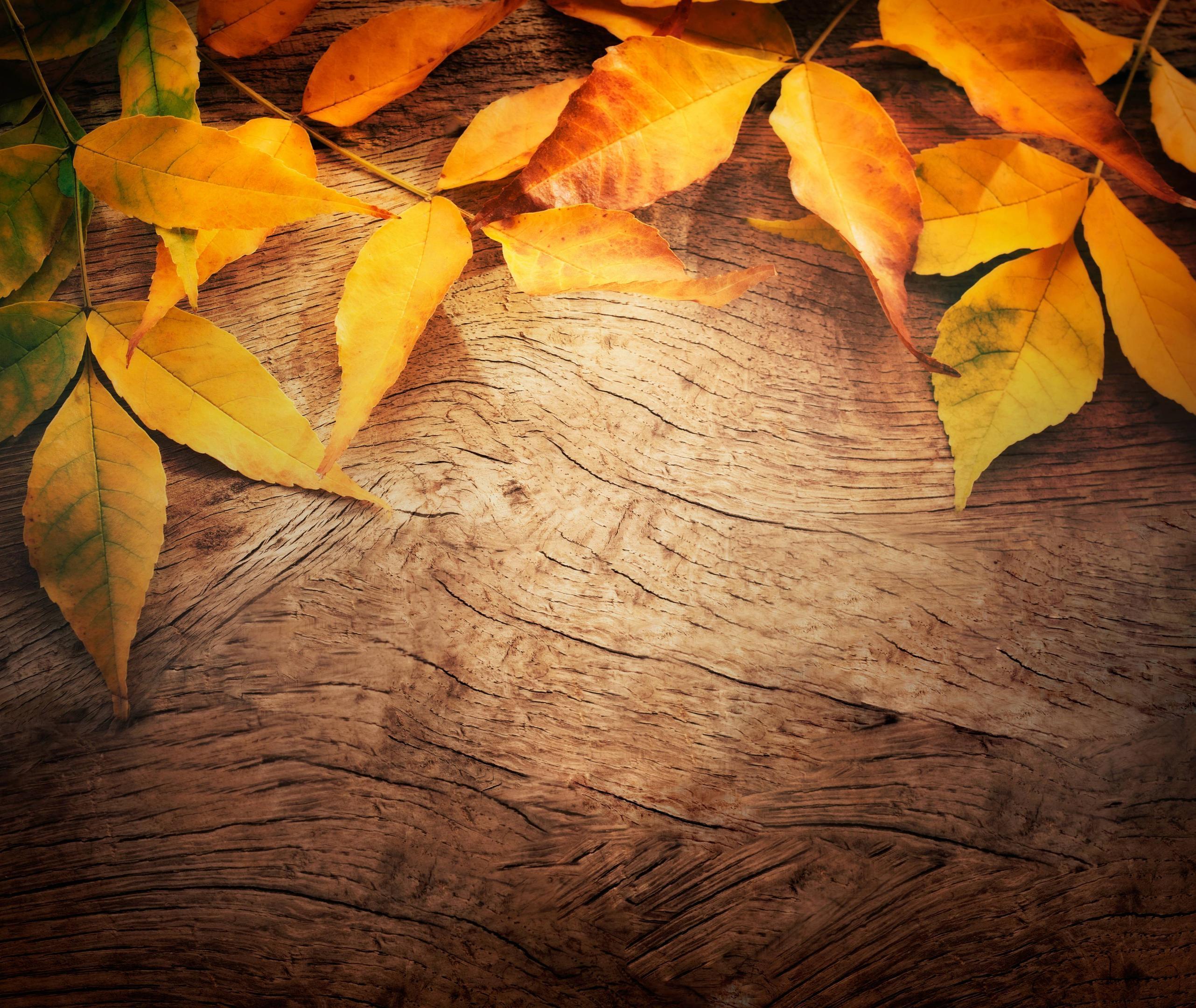 Autumn Background Pictures