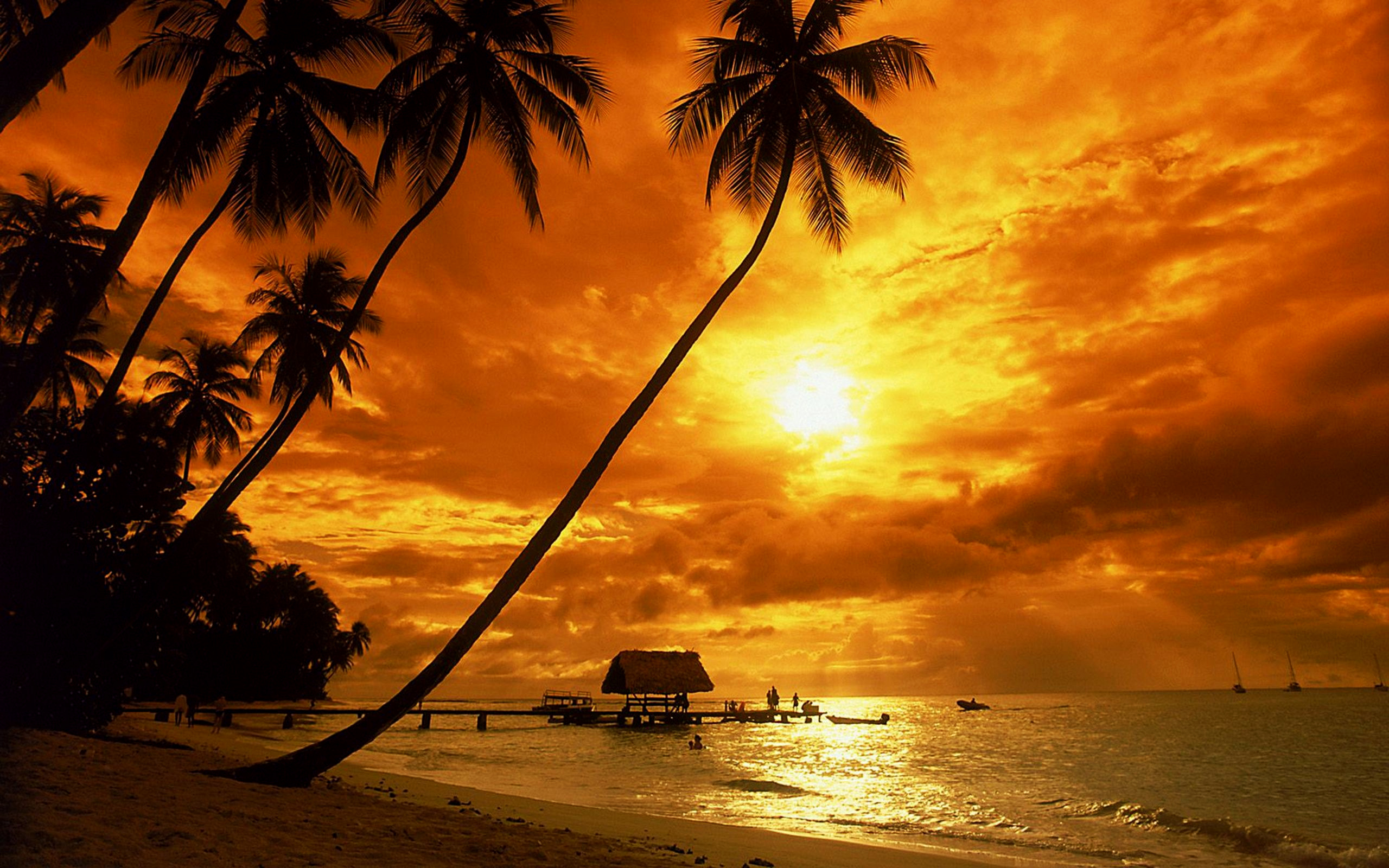 Tropical Sunset Wallpaper Beach