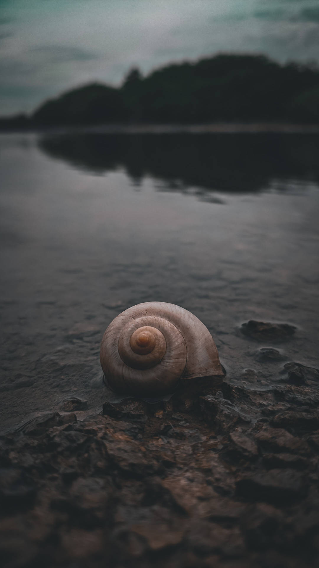 Redmi 4k Wallpaper