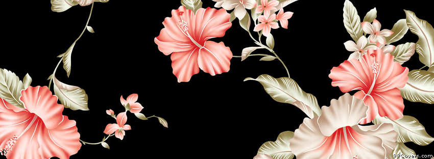 Top Wallpaper And Background Pattern Timeline Cover Photo