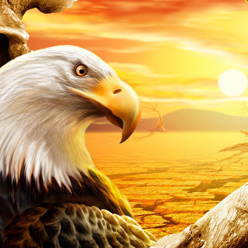 Eagle iPad Wallpaper Background