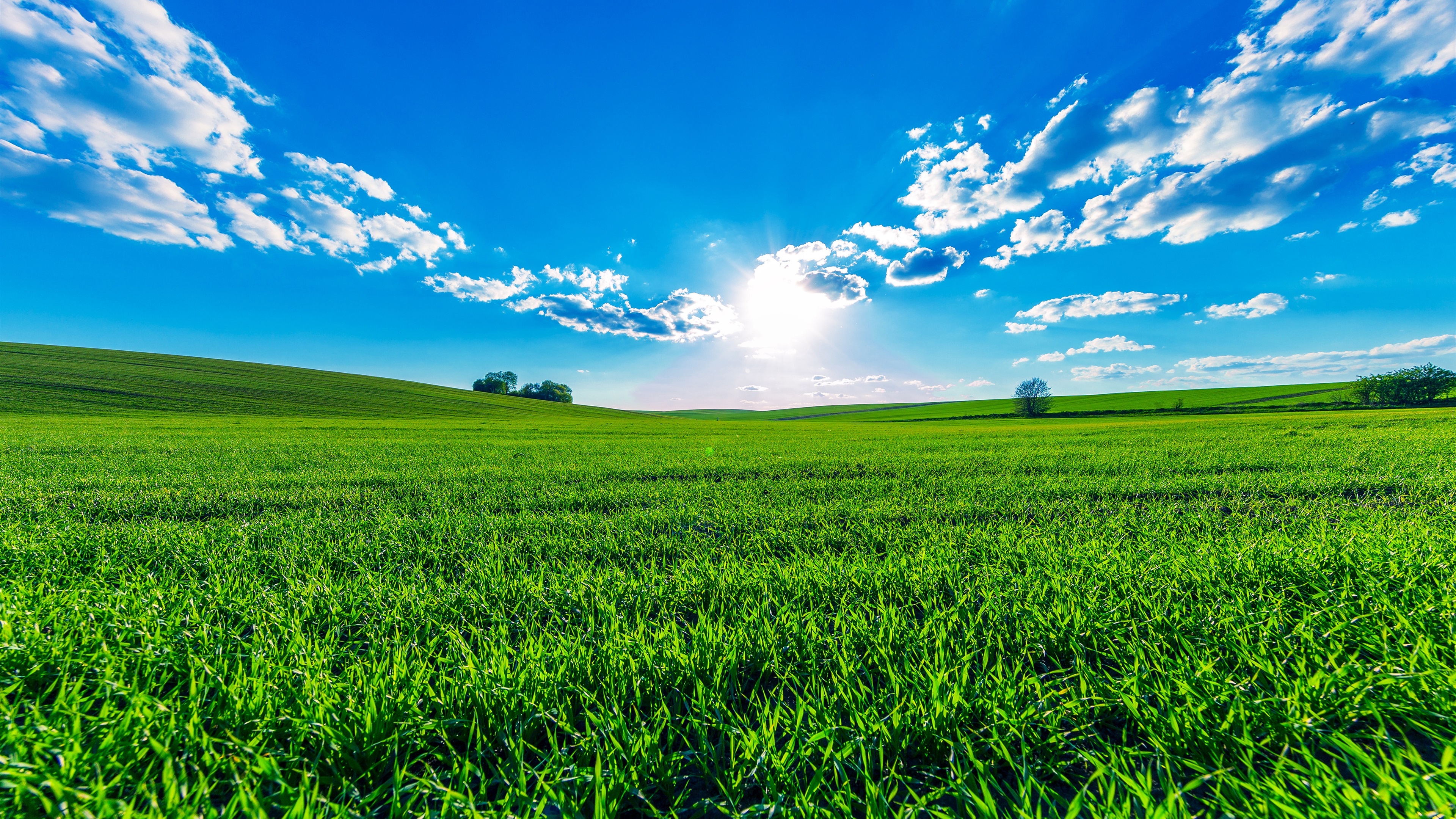 Wallpaper Green Fields Blue Sky Clouds Sun Beautiful Summer