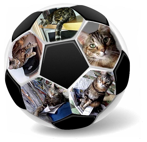 Cool Soccer Ball Cat A Jpg