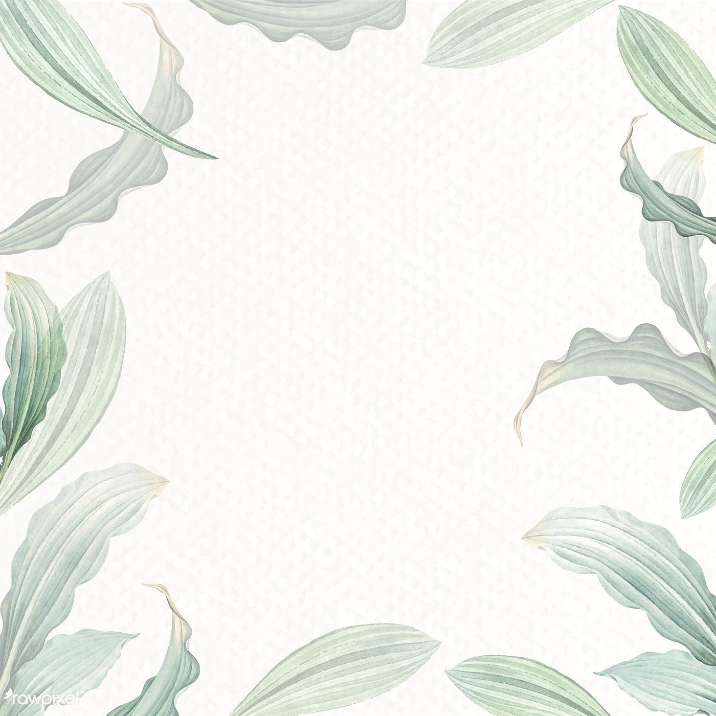 Premium Vector Of Blank White Leafy Background