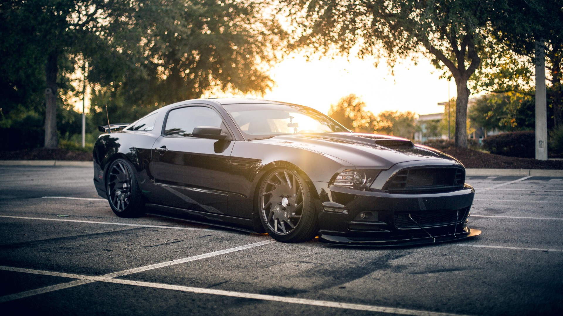 Ford Mustang Shelby Black 4k Wallpaper