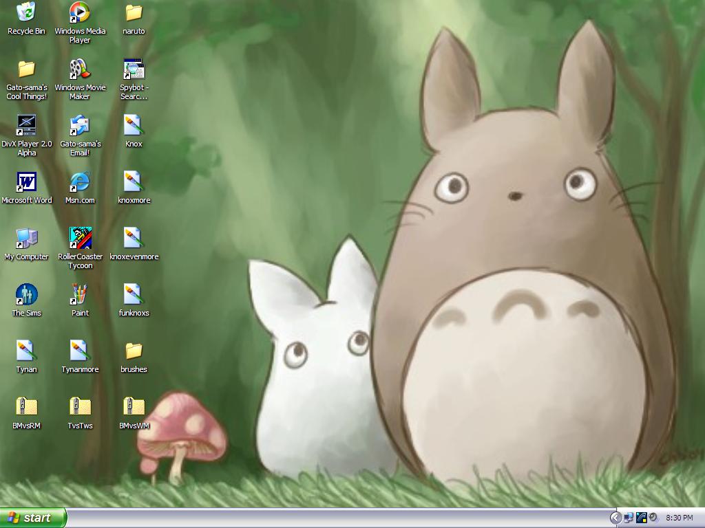My Neighbor Totoro HD Wallpaper On