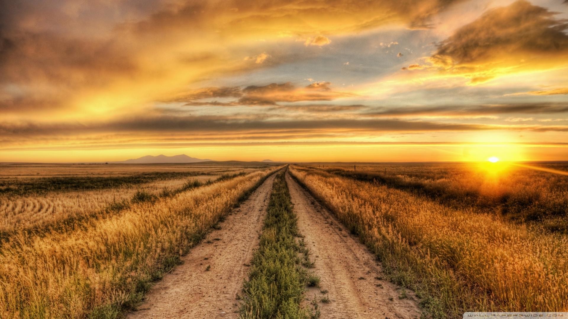 Texas Ranch Wallpaper