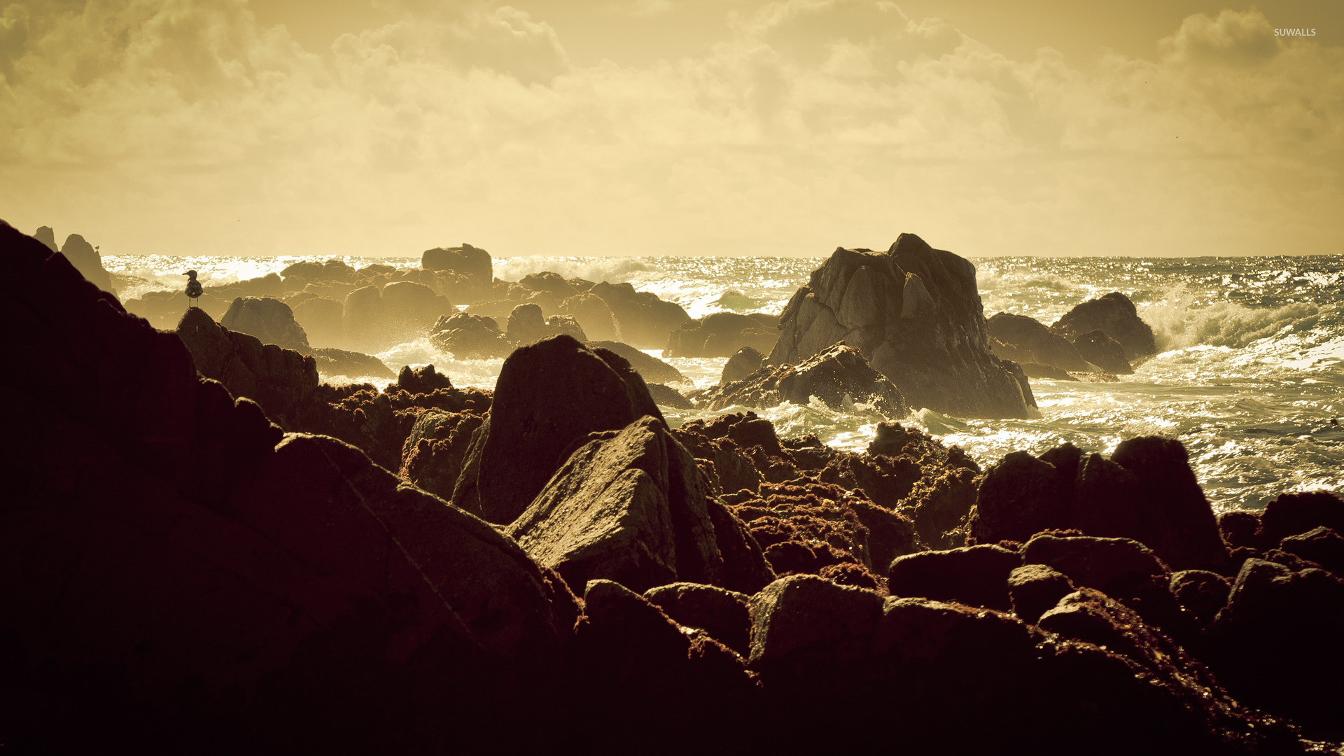 Sun Light Reflecting In The Waves Wallpaper Beach