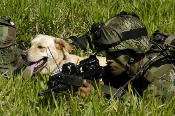 Soldiers Army Helicopters Dogs Special Forces Colombia
