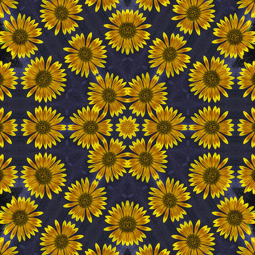 Sunflower Wallpaper Photo Sharing