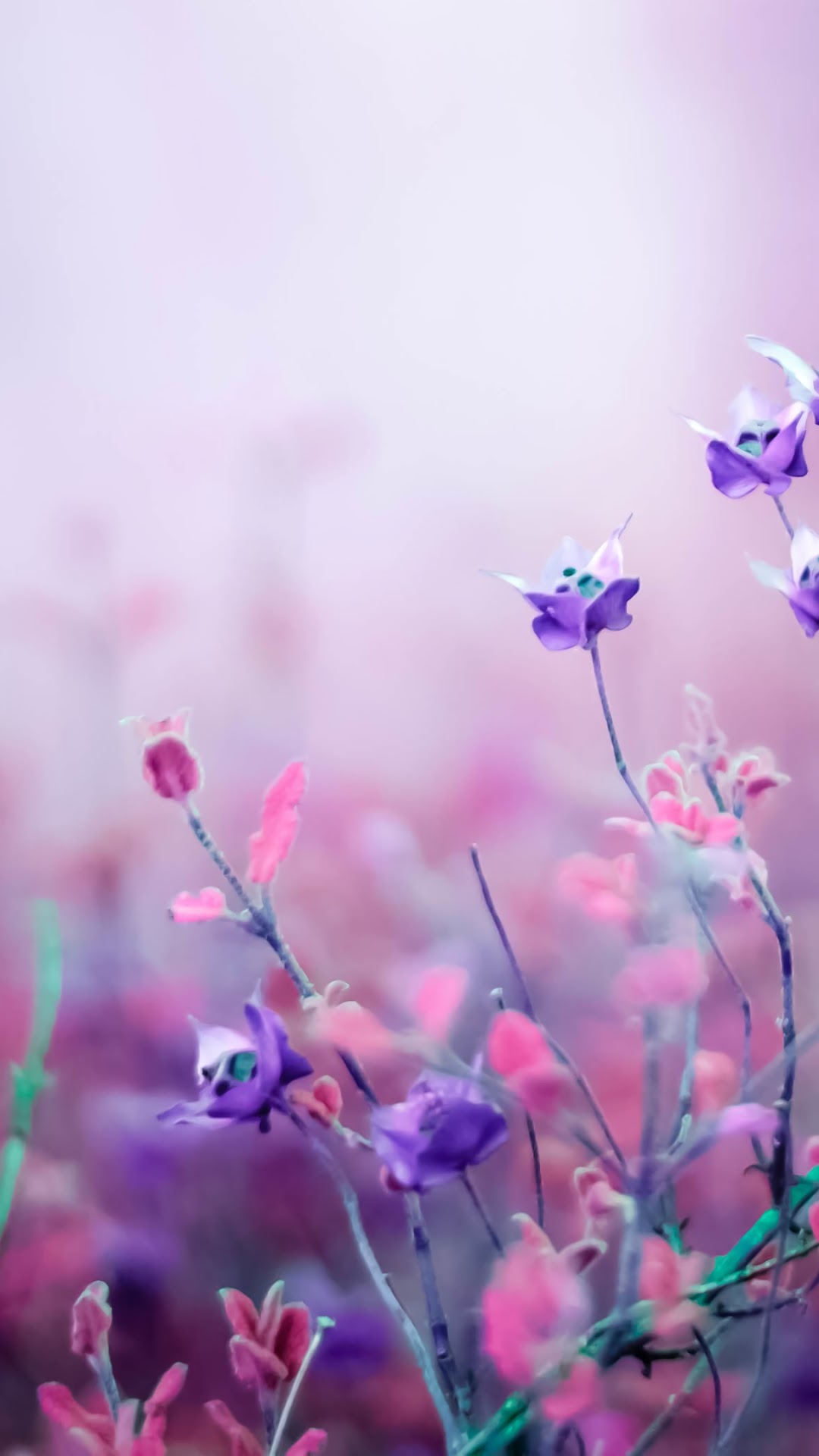 Purple Flower Desktop Wallpaper