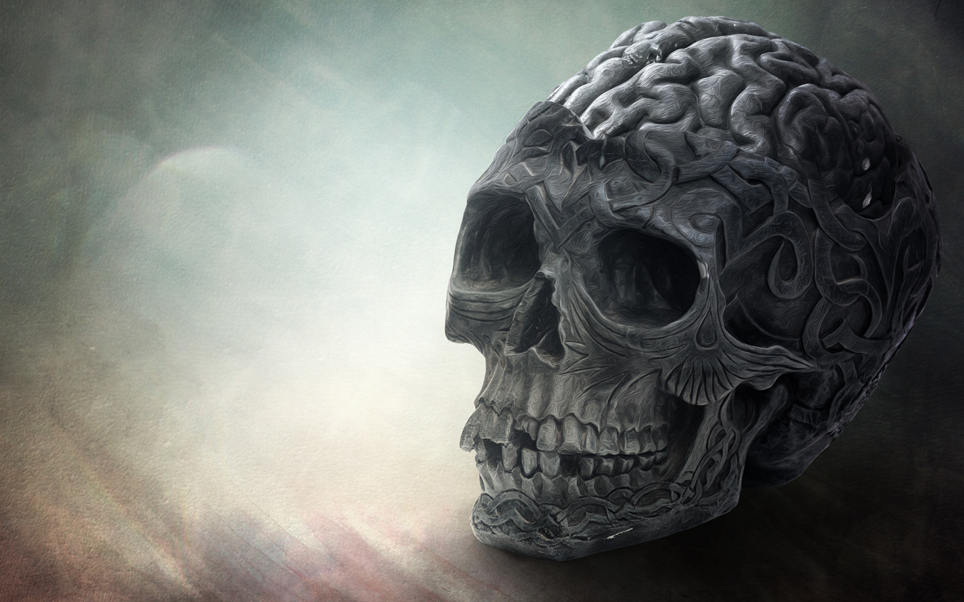 Skull With Brain Exclusive HD Wallpaper