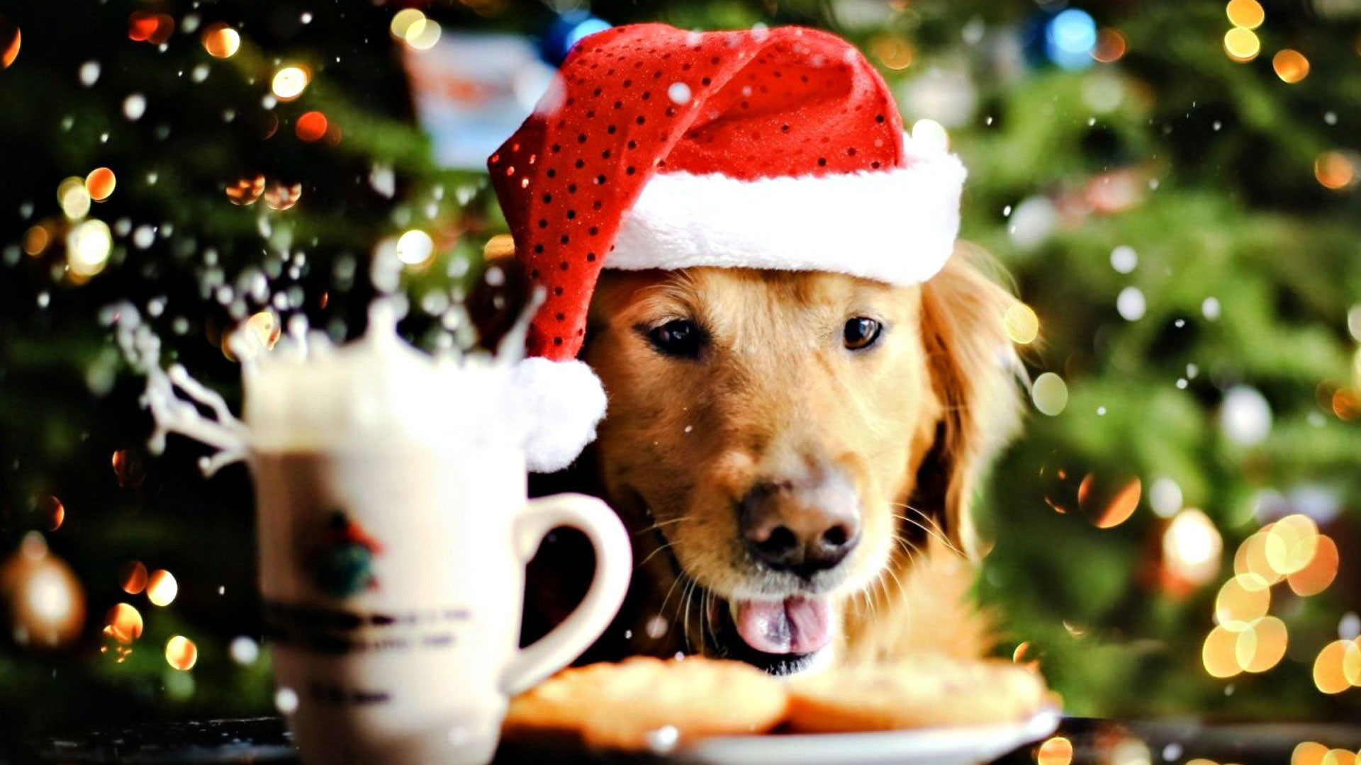 Puppy Christmas Wallpaper Image