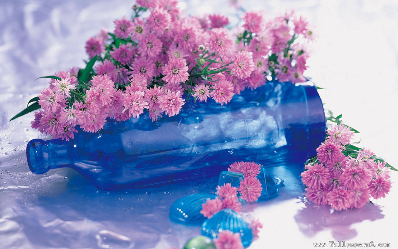 Flower Wallpaper Pink Posy And Blue Winebottle