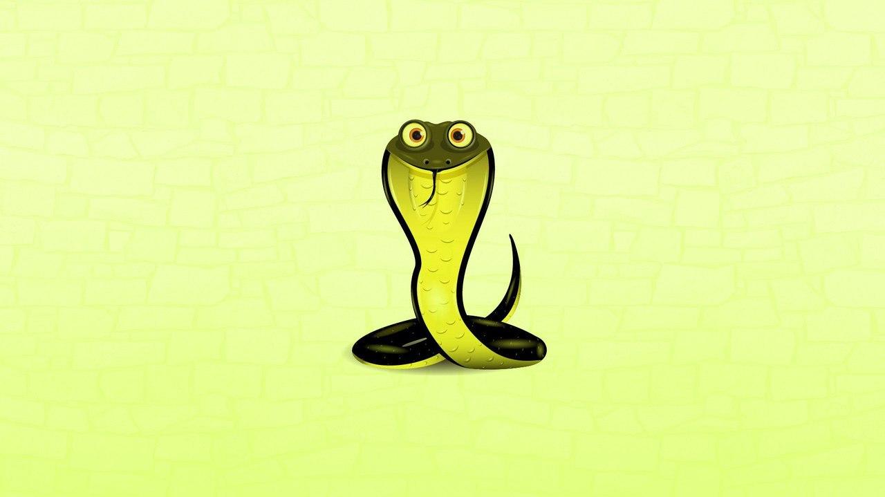 Funny Snake Desktop Wallpaper