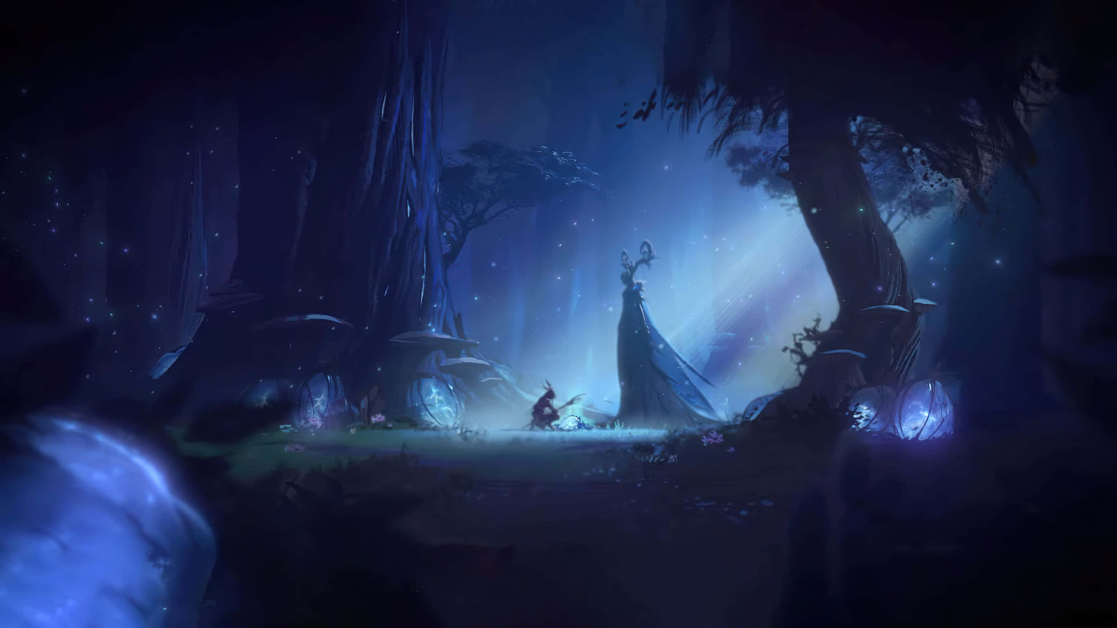 A 4k PC wallpaper featuring a mystical forest scene with a small, cloaked figure kneeling before a tall, robed figure. The forest is dark and filled with glowing particles, creating a magical atmosphere