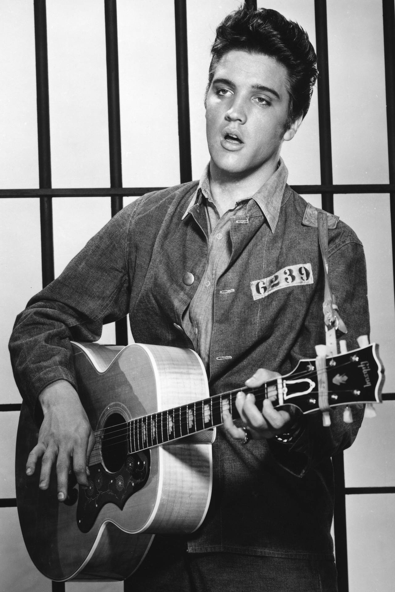 Elvis Presley Wallpaper