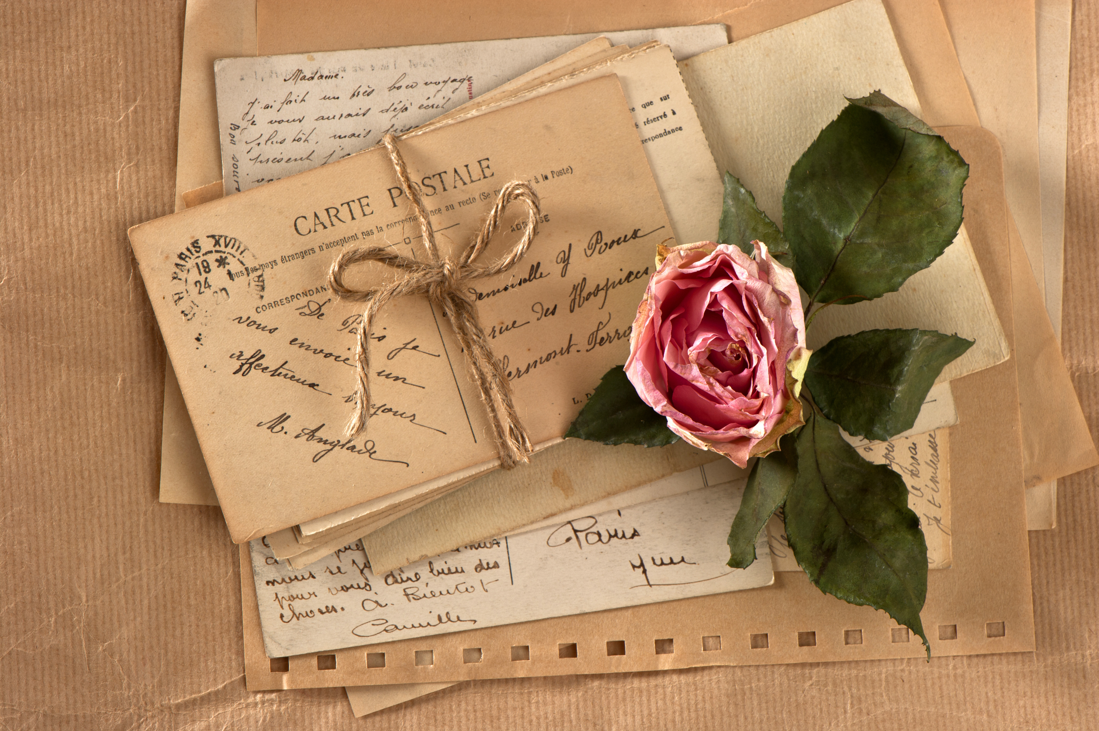 Vintage Letters Rose Wallpaper
