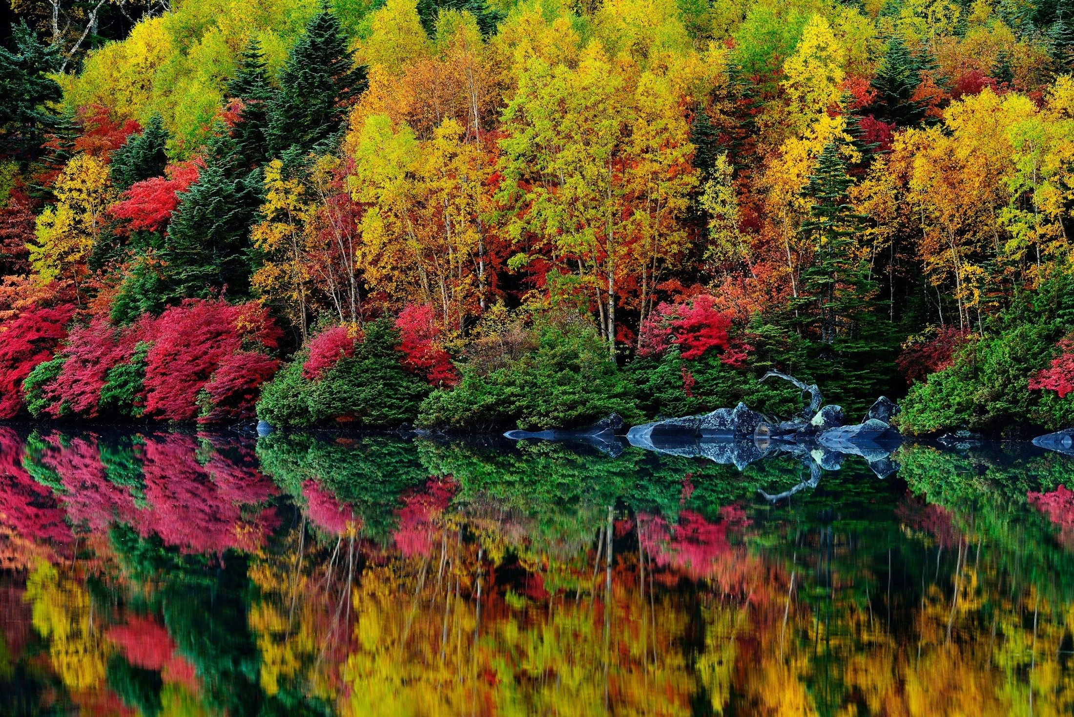 A breathtaking reflection of vibrant autumn foliage in a still lake, showcasing nature's artistry at its peak