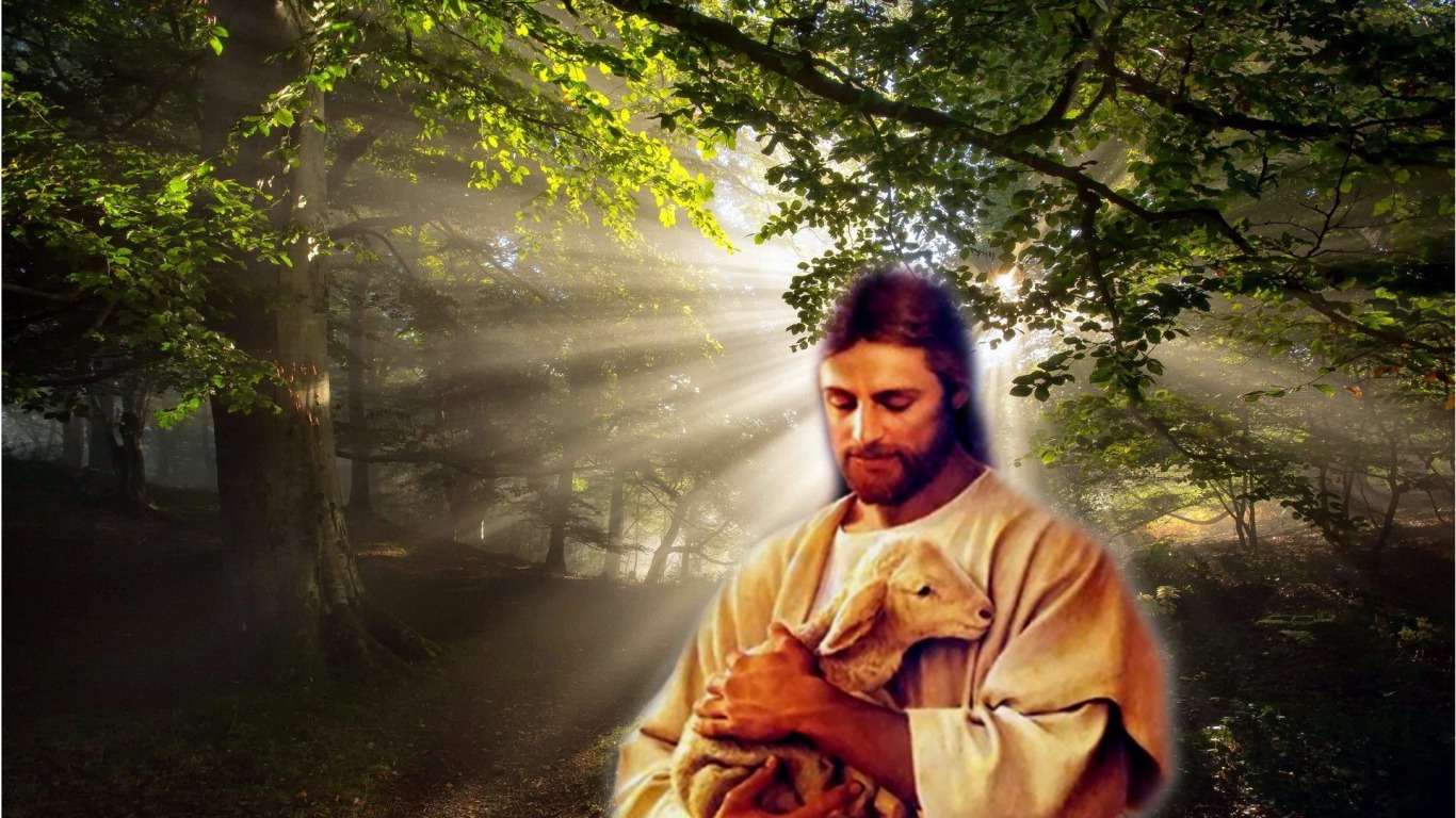 Jesus Merciful Wallpaper Photos Is High Definition You Can