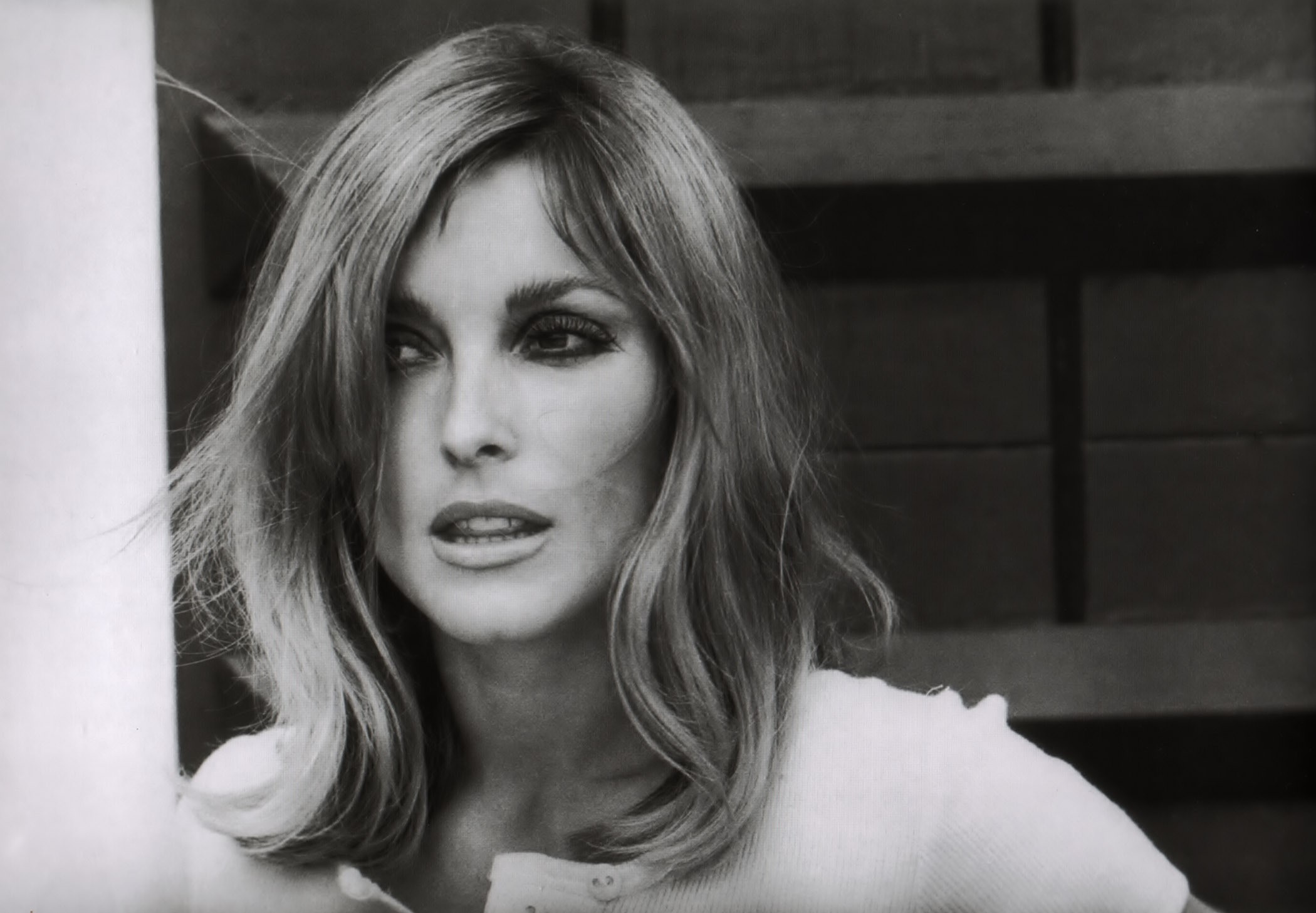 Sharon Tate Computer Wallpaper