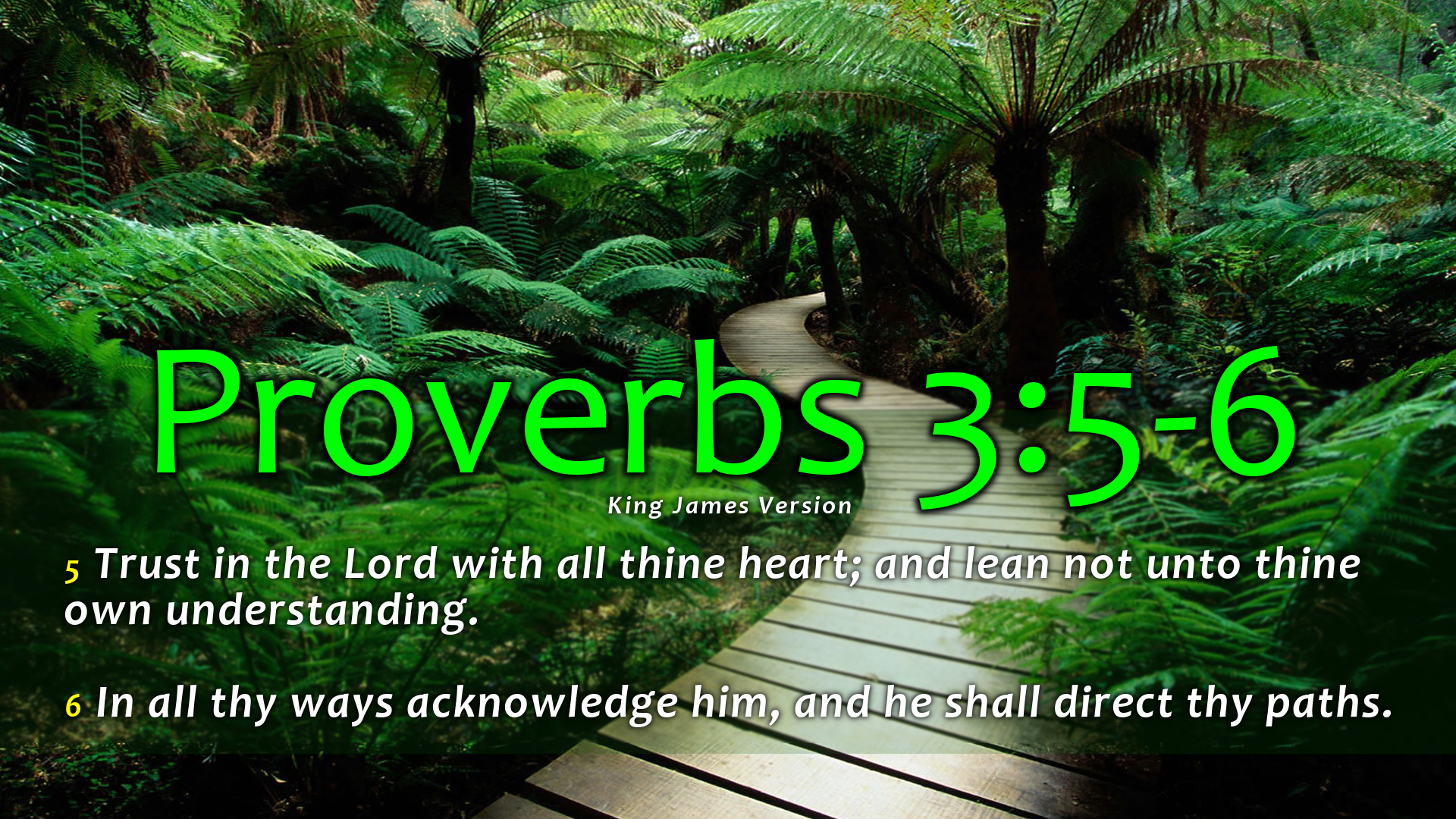 [48+] Proverbs 3 5 6 Wallpaper - WallpaperSafari