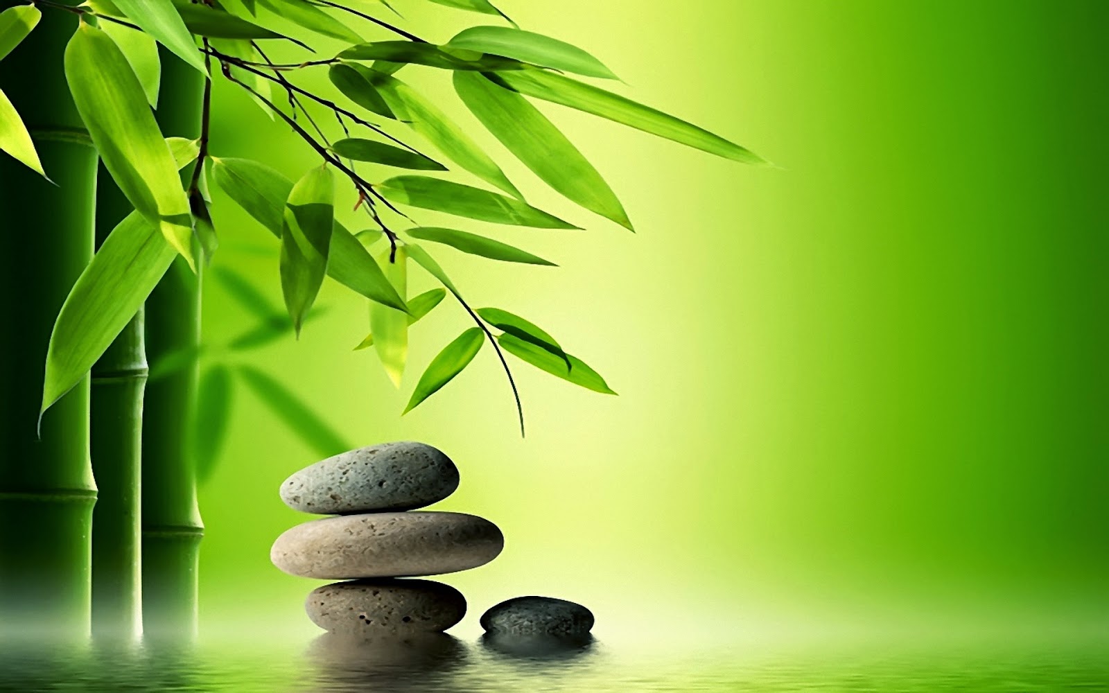 Chinese Zen Meditation Pictures 1080p Full HD Widescreen Wallpaper