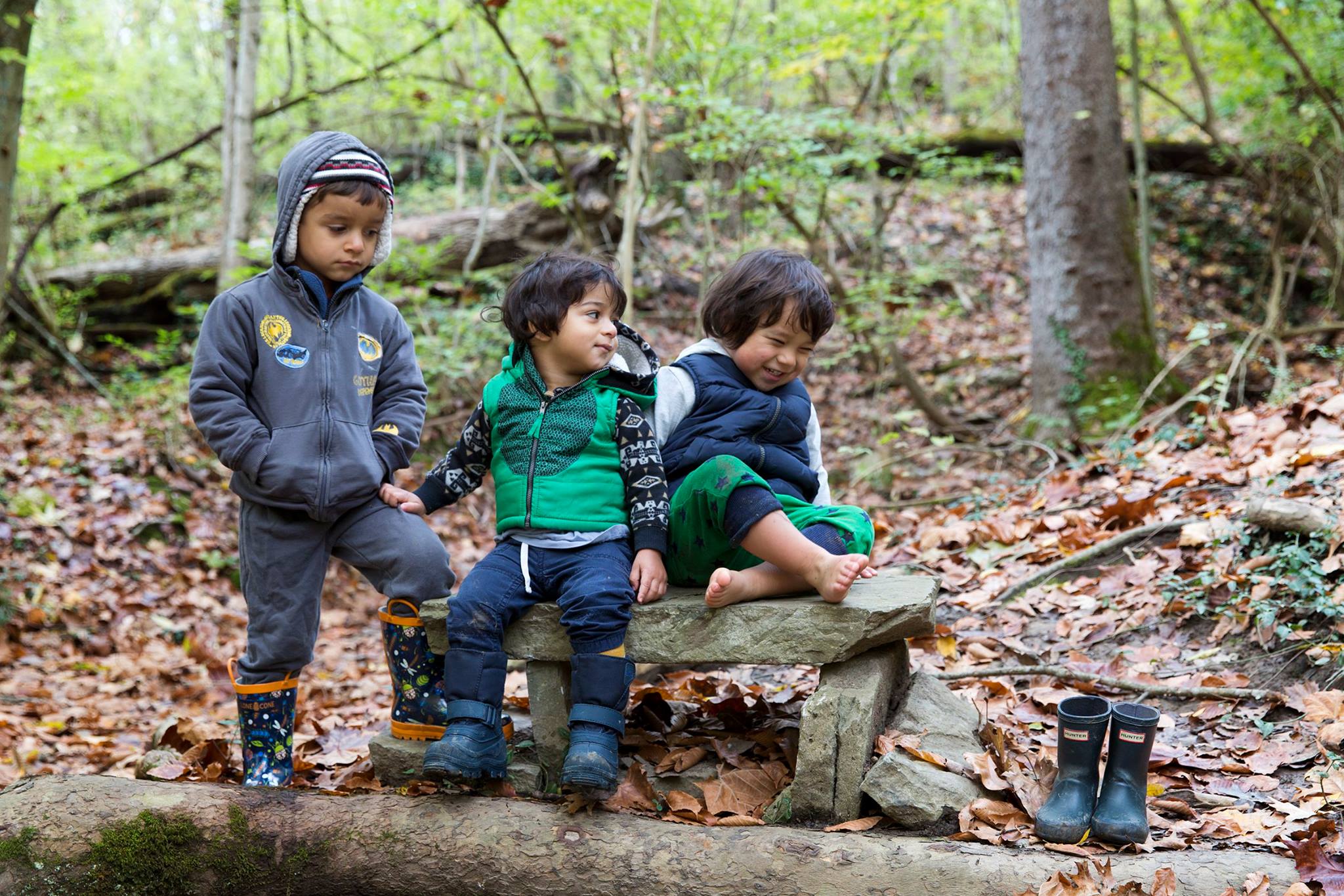 Free download Forest School Cincinnati Free Forest School [2048x1365 ...