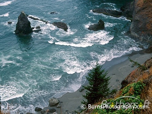 Oregon Ocean Coast Screen Saver