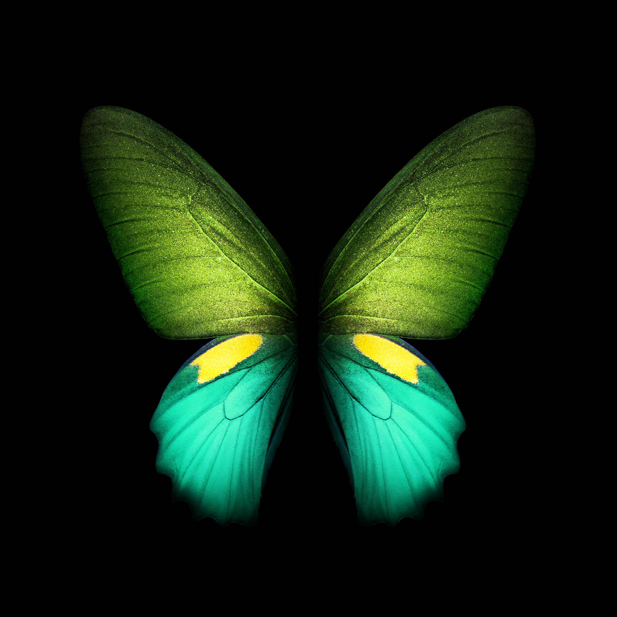 Samsung Galaxy Fold Live And Static Wallpaper Available For