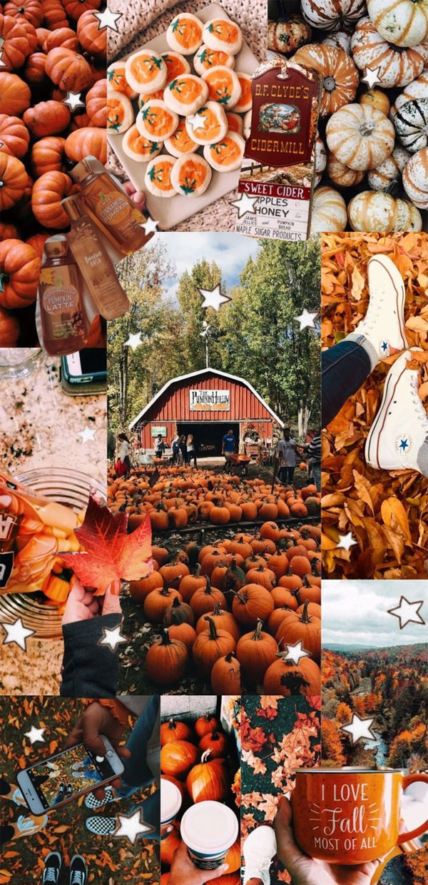 Harvest Harmony Collages Of Autumn S Beauty I Love Fall Most
