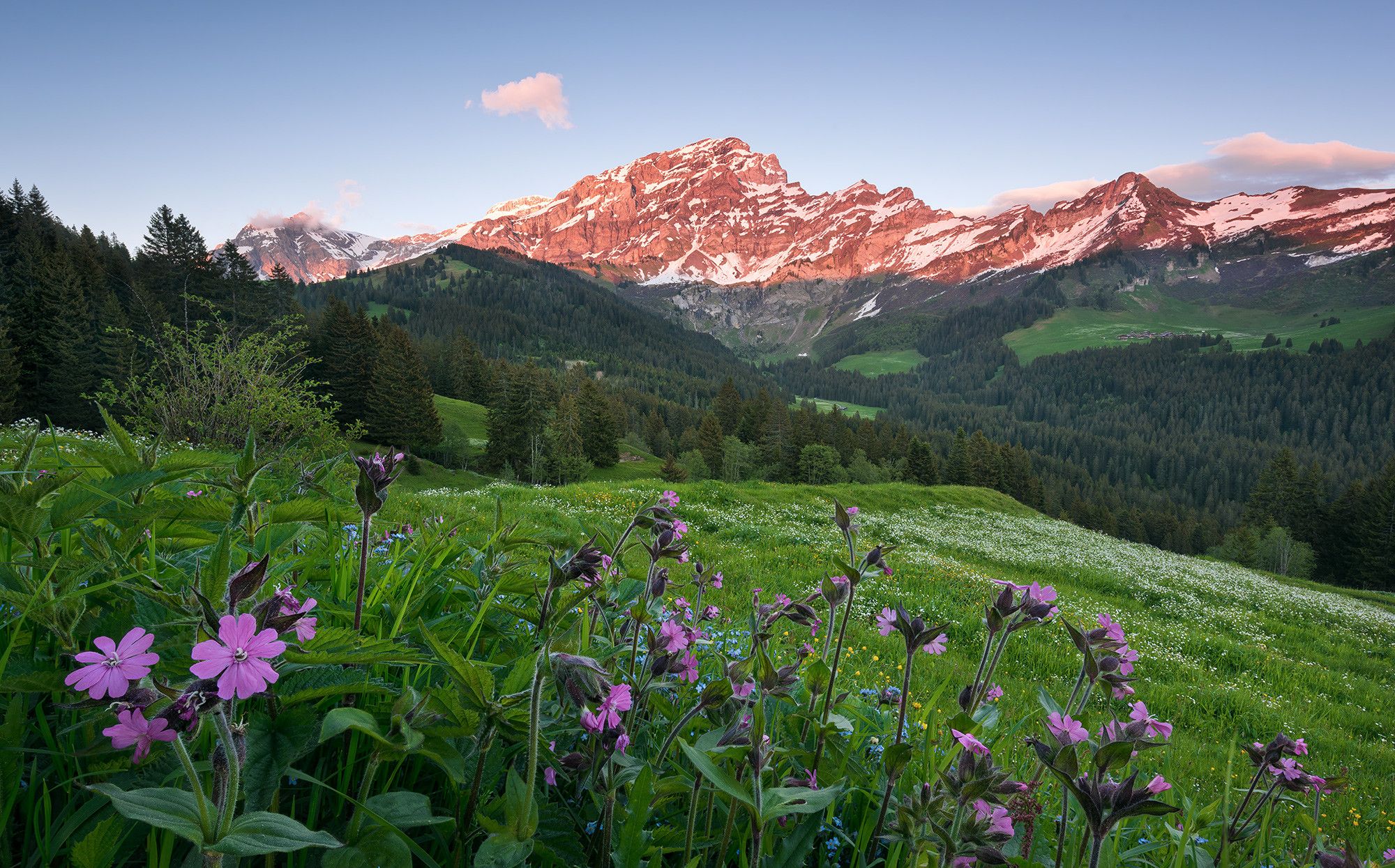 Non Woven Photomural Pictureque Switzerland From Komar Wallpaper