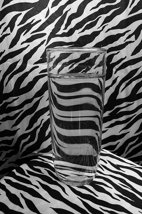 Cool Zebra Print Background Collection Creativefan