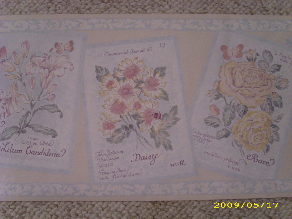  Sweet Pea Rose Daisy Lily Flowers Butterfly Wallpaper Border eBay