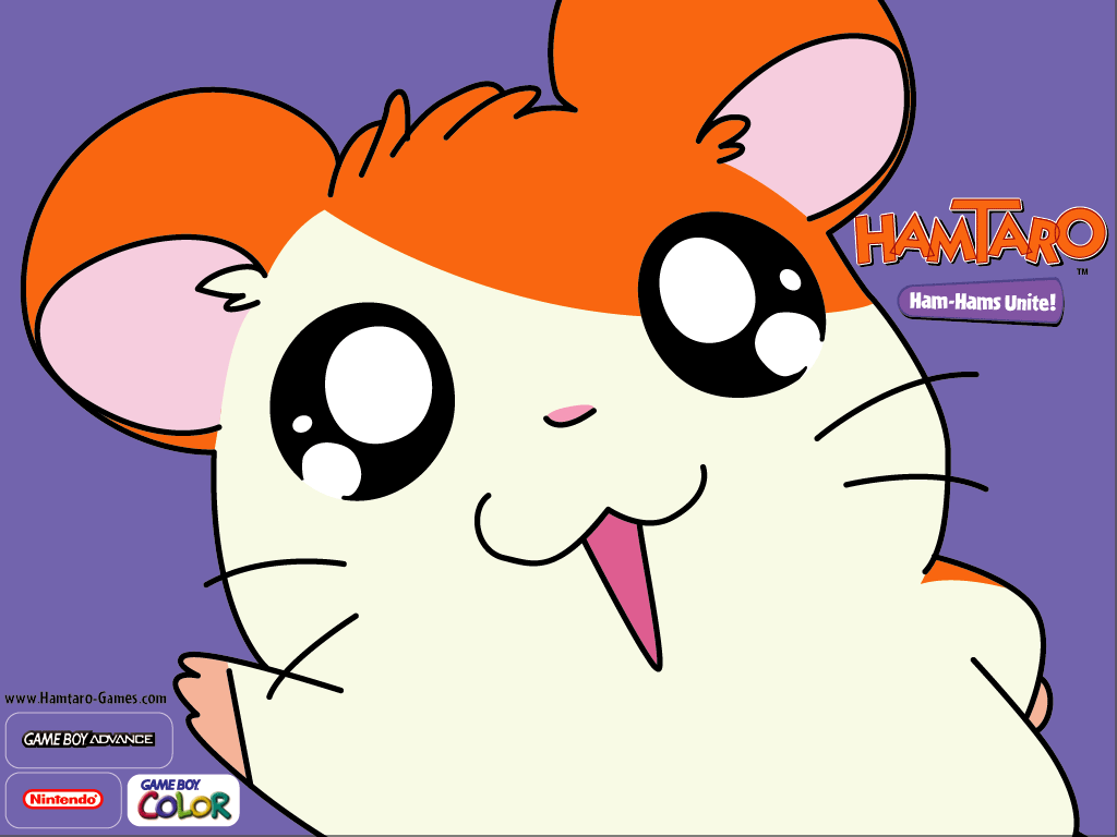 The Gallery For Gt Hamtaro And Bijou Human