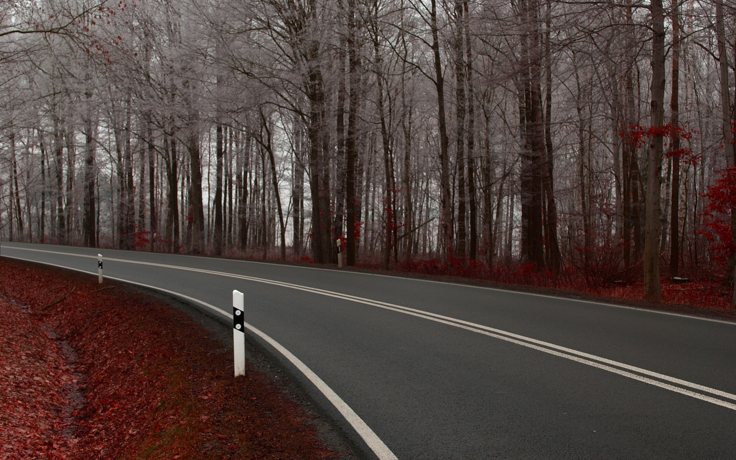 Road Trip Wallpaper
