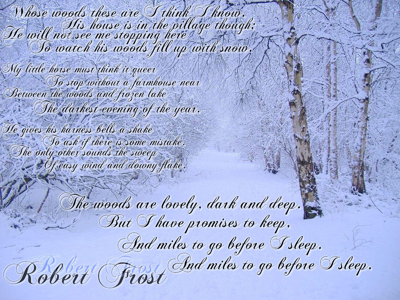 By Woods On A Snowy Evening Poetry Wallpaper