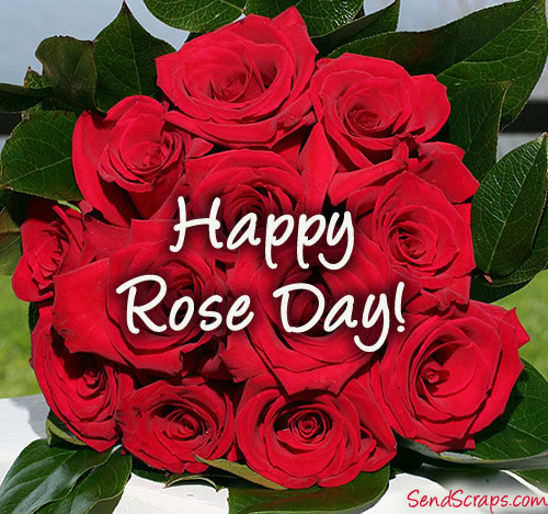 Happy Rose Day HD Image Wallpaper Photos