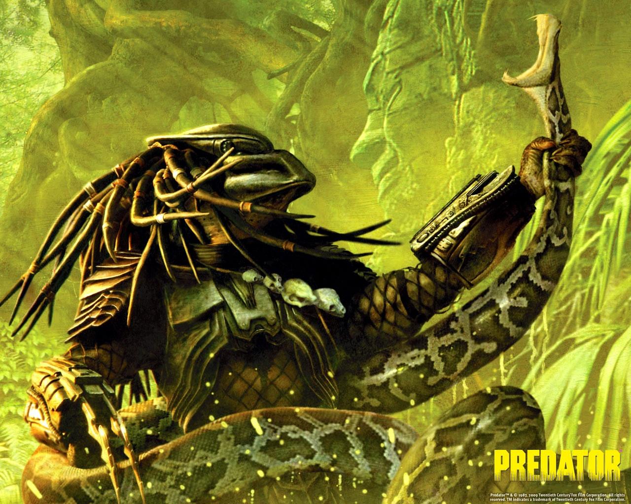 Predator Puter Wallpaper Desktop Background Id
