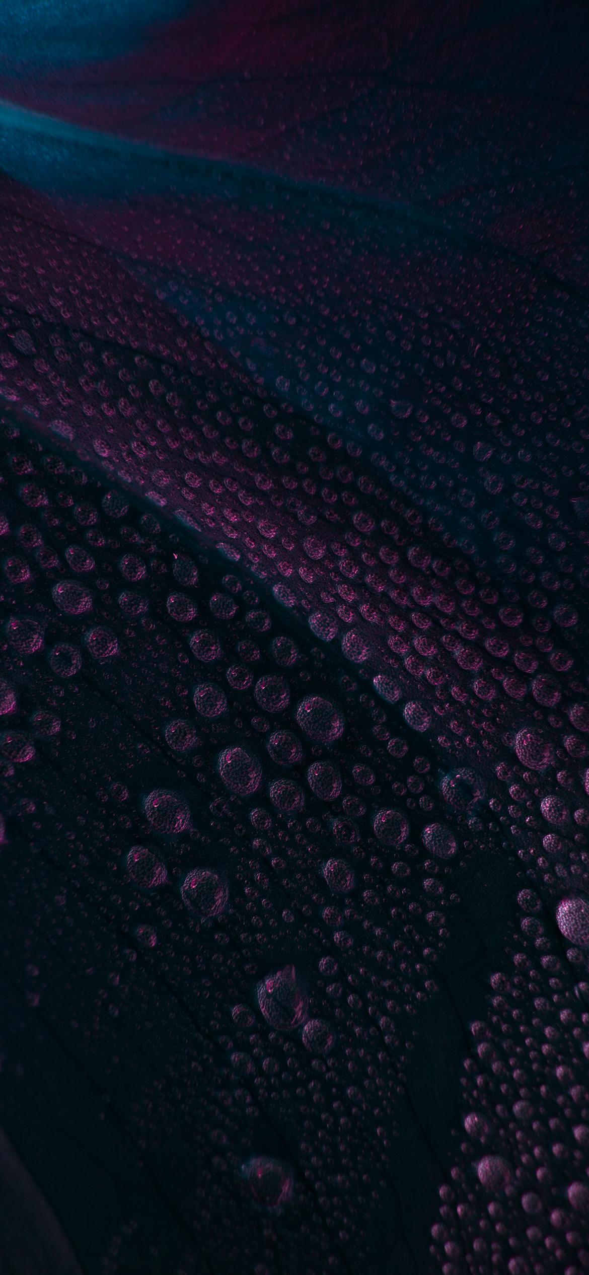 Wallpaper
