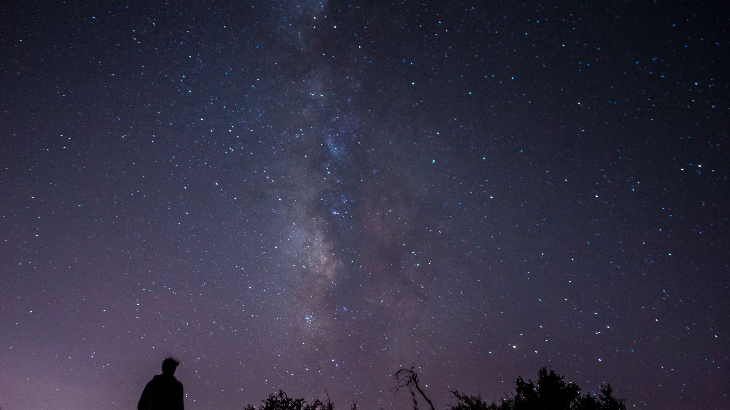 Botpost Took This Milky Way Selfie Earlier Year I