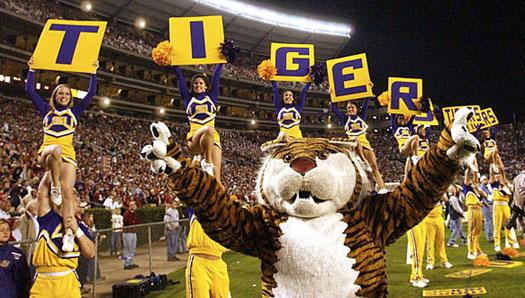 Lsu S Live Tiger Mascot Mike Vi Lsusports The Official Web