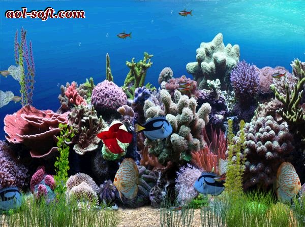 Aquarium Animated Wallpaper Screenshot Desktop Themes